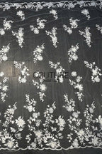 Floral Lace: Ivory Three-Dimensional Floral Appliqué with Scalloped Embroidered Leaf and Vine Border, 1 Meter