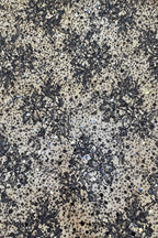 Color Lace: Floral Spray Pattern with Scalloped Eyelash Fringe Borders, 3 Meters