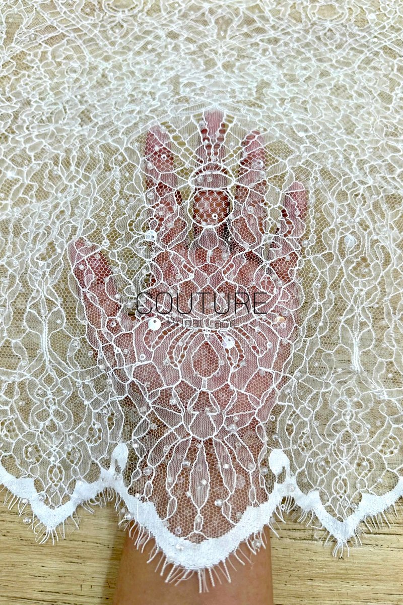 Beaded Chantilly Lace: Ivory Ornate Floral Medallion with Scalloped Eyelash Fringe Border Edge, 3 Meters